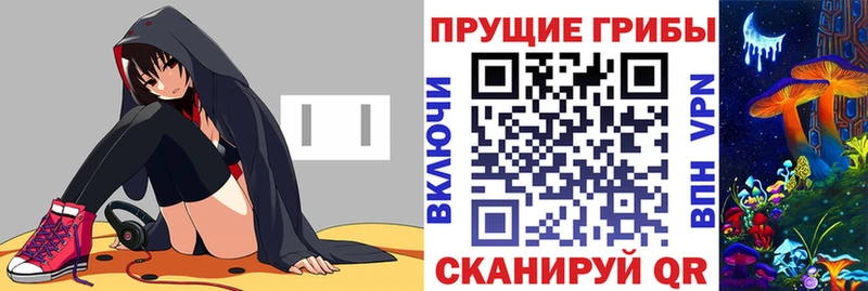 магазин KRAKEN вход Псилоцибиновые грибы ЛСД Судогда